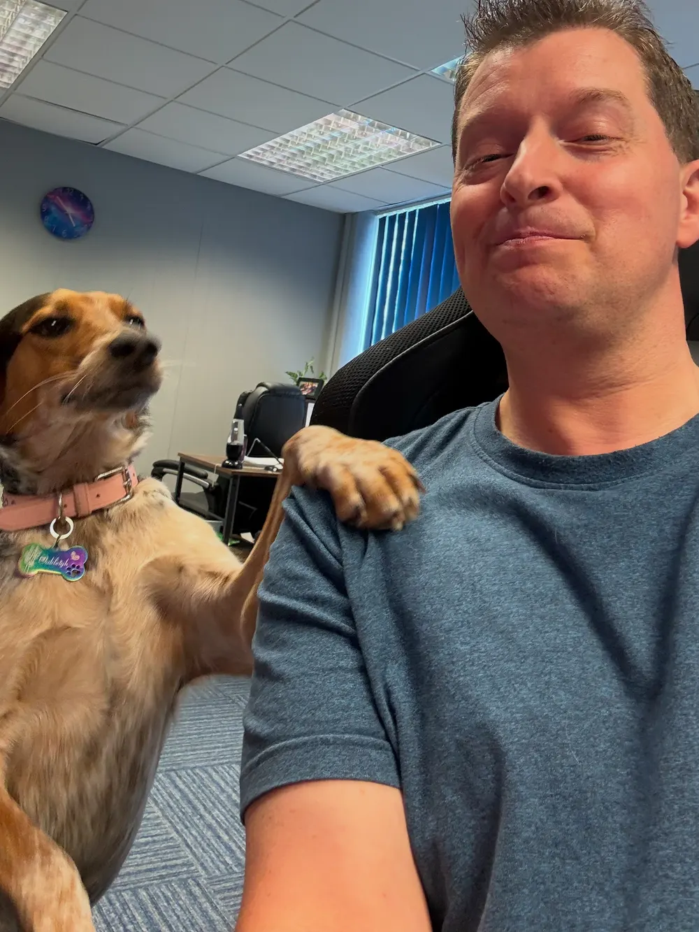 Mark Burtenshaw at his desk in the Burgess Hill office with Oakleigh the office dog
